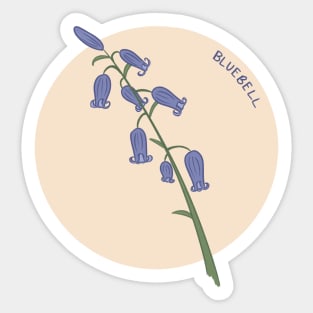 Bluebell Flowers Sticker